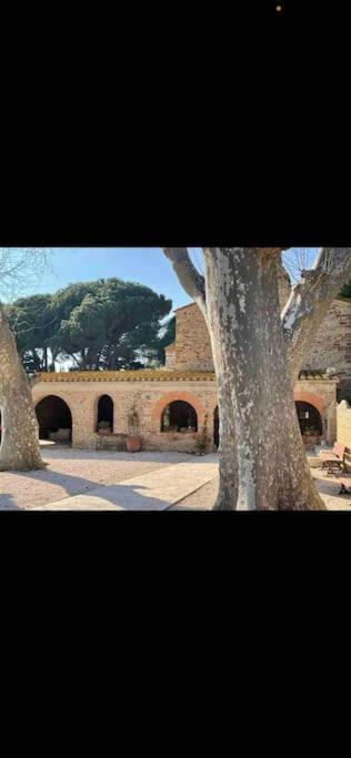 Torreilles-Casa Terracota-Proche Plage - Les Deferlantes Le Barcares - South Of France Buitenkant foto